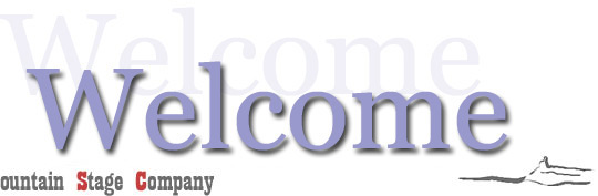 Mohonk Mountain Stage Co Banner